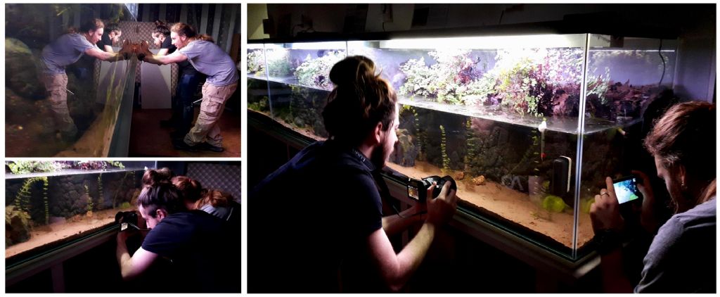 I Terracquari del Centro di Entomologia - Piombino (LI)